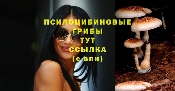 ПСИЛОЦИБИНОВЫЕ ГРИБЫ Арсеньев
