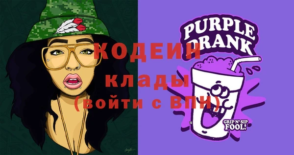 ПСИЛОЦИБИНОВЫЕ ГРИБЫ Арсеньев
