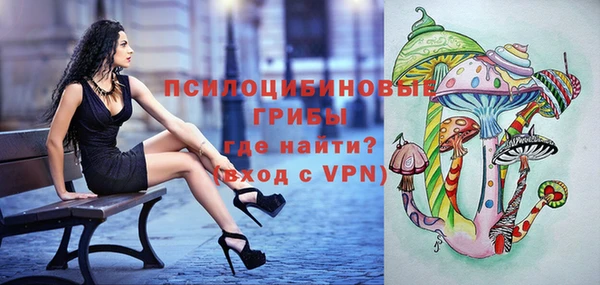ПСИЛОЦИБИНОВЫЕ ГРИБЫ Арсеньев
